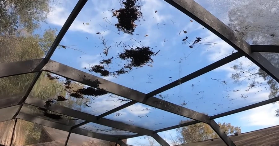 Roof screens of a pool enclosure covered in leaves and debris before cleaning